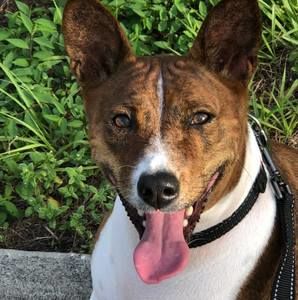 Meet your Posher, Deb